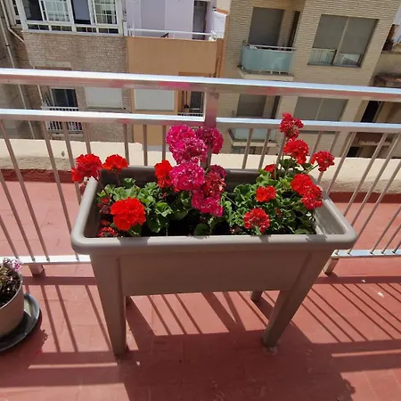 Centricos Playa Norte Апартаменты